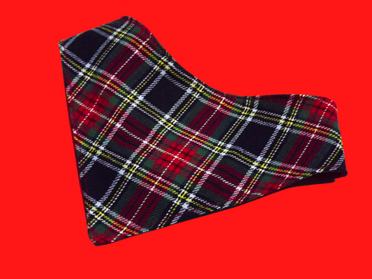 Red Tartan, Chic Styles: Trendy Bandana for Dogs