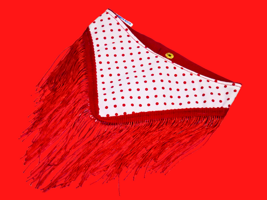 Chulapa, Chic Styles: Trendy Bandana for Dogs