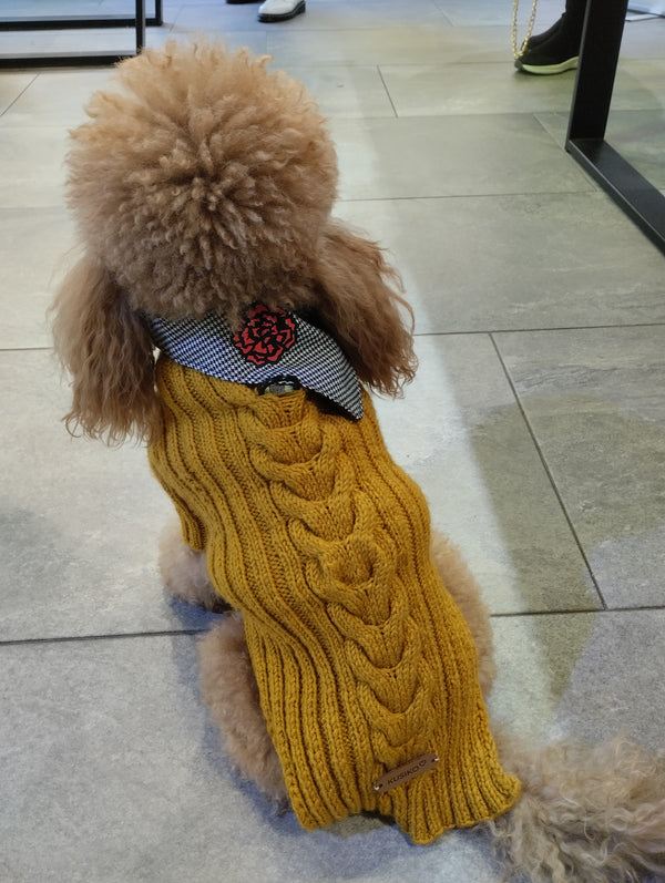 Bandana Chulapo – Trendy Fashion and Accessories for Cool Dogs