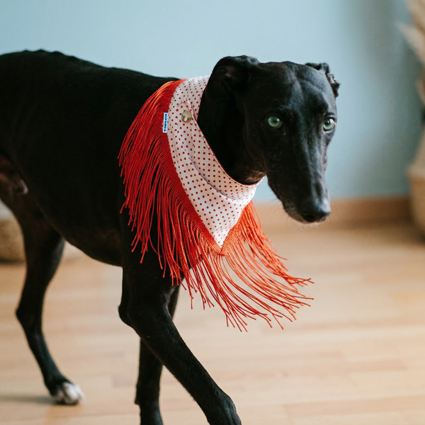 Chulapa Bandana – Chic Fashion and Accessories for Dogs