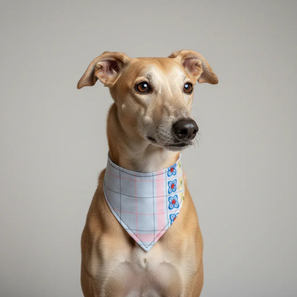 Bandana Mantel – Moda y Accesorios chic para Perros - Mi Perrito Alfito