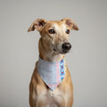 Bandana Mantel – Moda y Accesorios chic para Perros - Mi Perrito Alfito