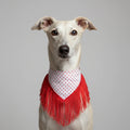 Bandana Chulapa – Moda y Accesorios chic para Perros - Mi Perrito Alfito