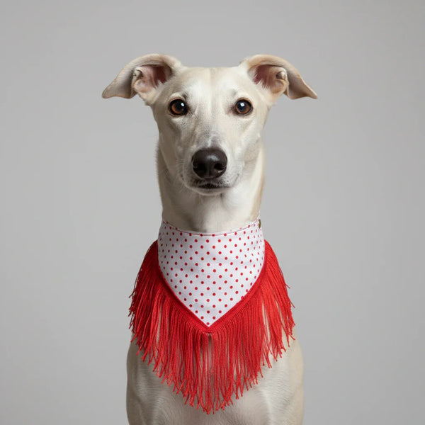 Bandana Chulapa – Moda y Accesorios chic para Perros - Mi Perrito Alfito