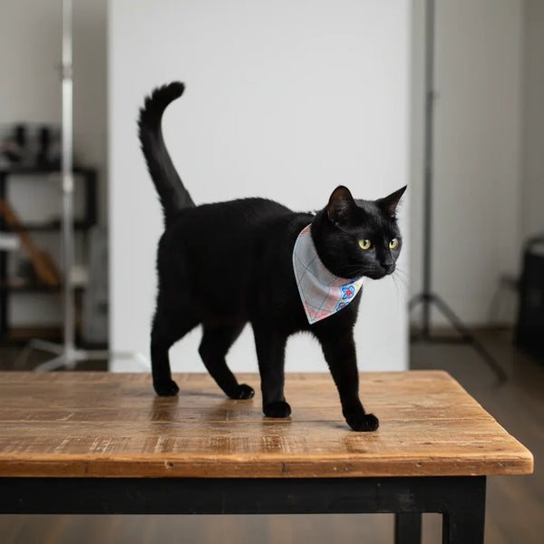 Bandana Mantel – Chic Fashion and Accessories for Dogs