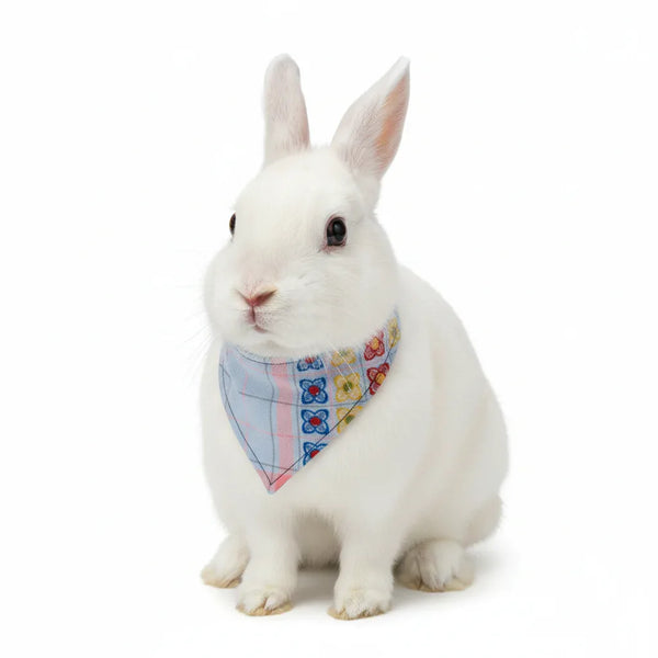 Bandana Mantel – Chic Fashion and Accessories for Dogs